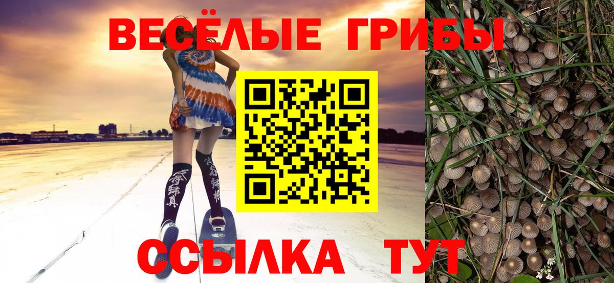 Псилоцибиновые грибы GOLDEN TEACHER Вологда