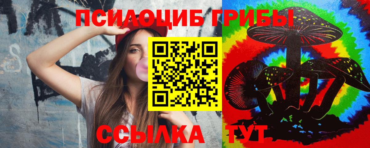 Галлюциногенные грибы MAGIC MUSHROOMS  купить наркотик  Вологда  Вход с VPN 