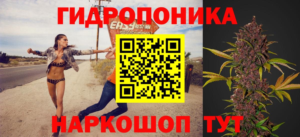 Каннабис OG Kush  МАРИХУАНА гибрид  Вход с VPN  Вологда 